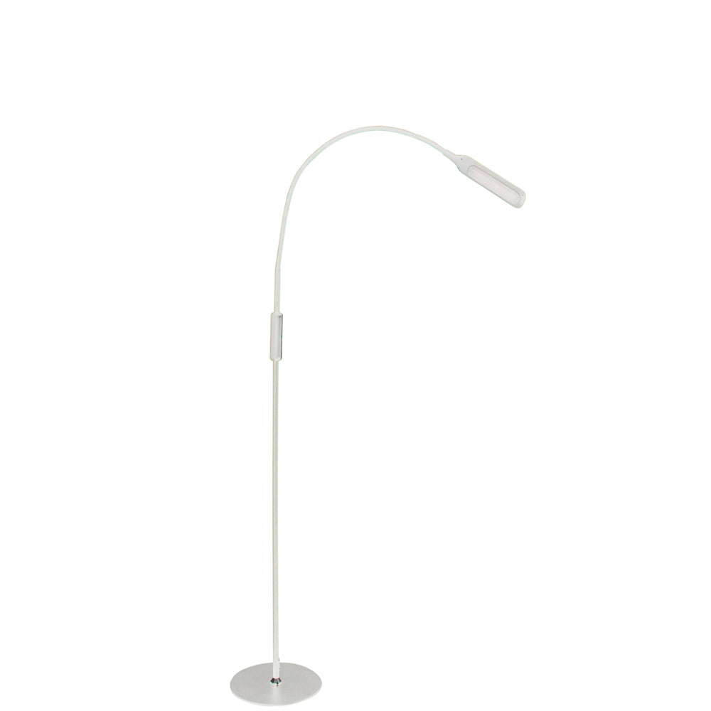 Lumina Floor Light
