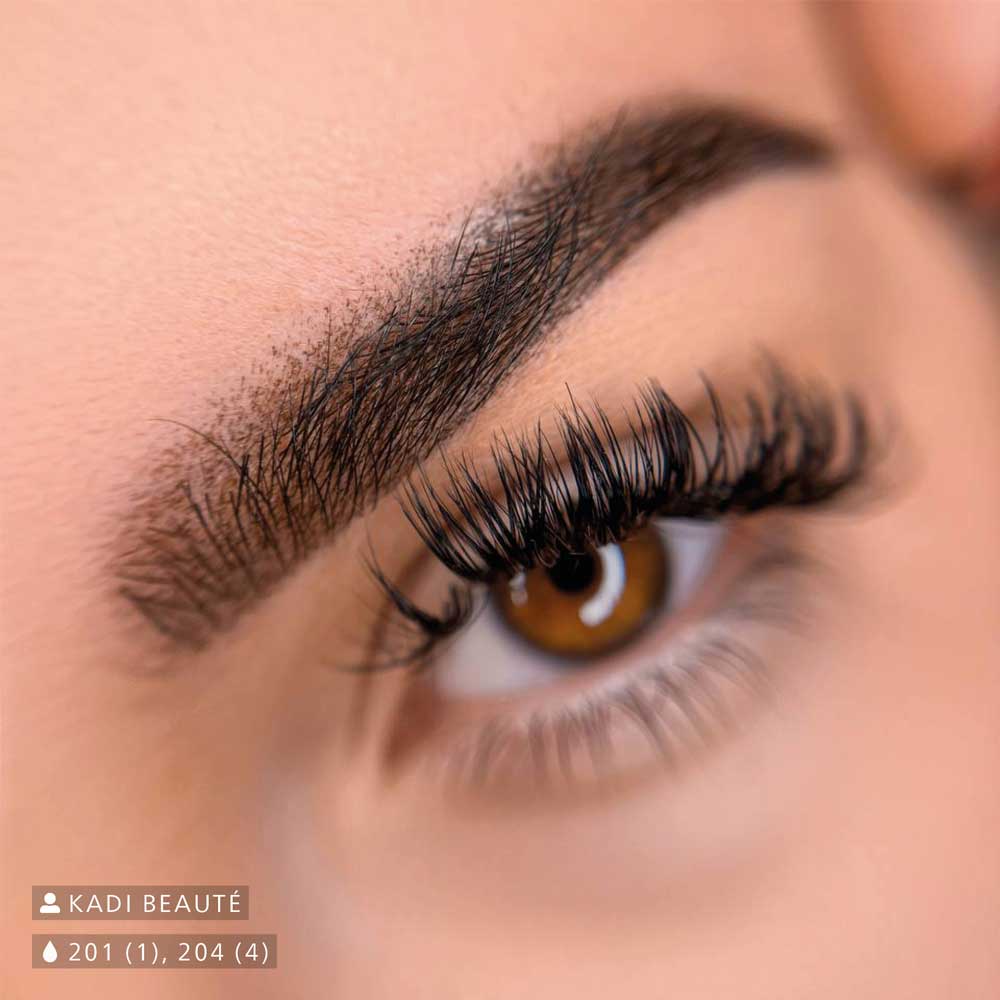 Swiss Color 201 204 Brow Work