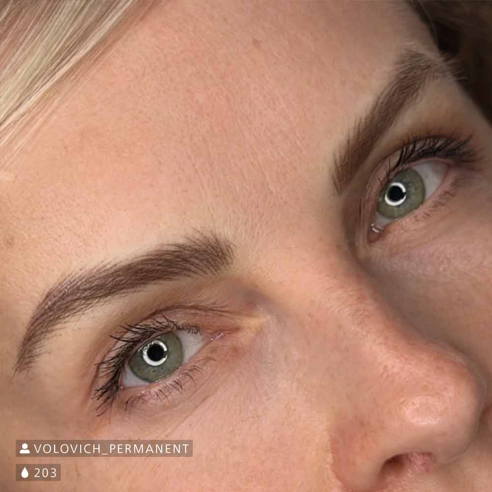 Swiss Color 201 Brow Work