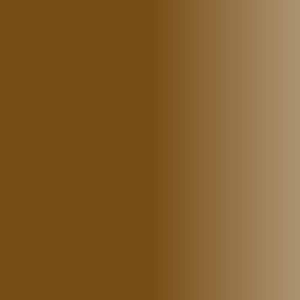 Swiss Color 203 Chocolate Brown Brow Pigment Swatch