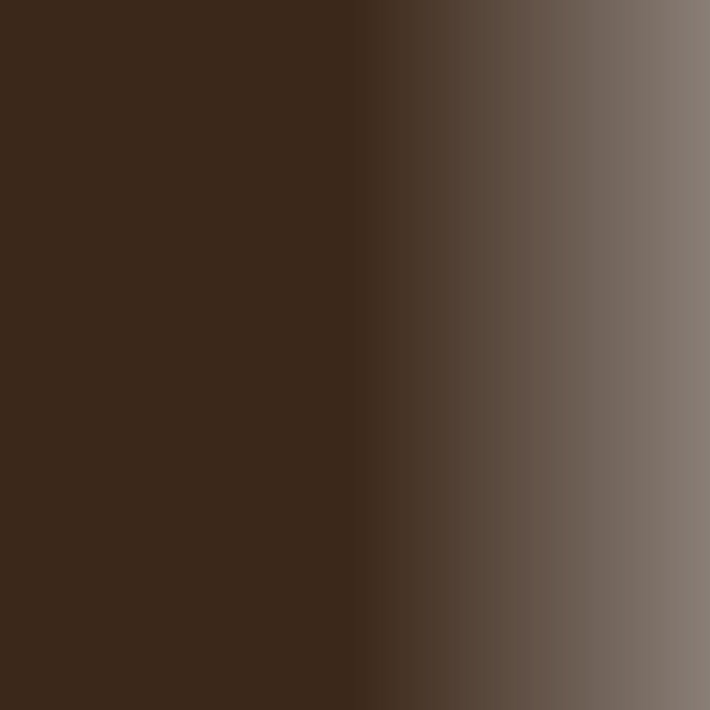 Swiss Color 205 Dark Brown Pigment Swatch