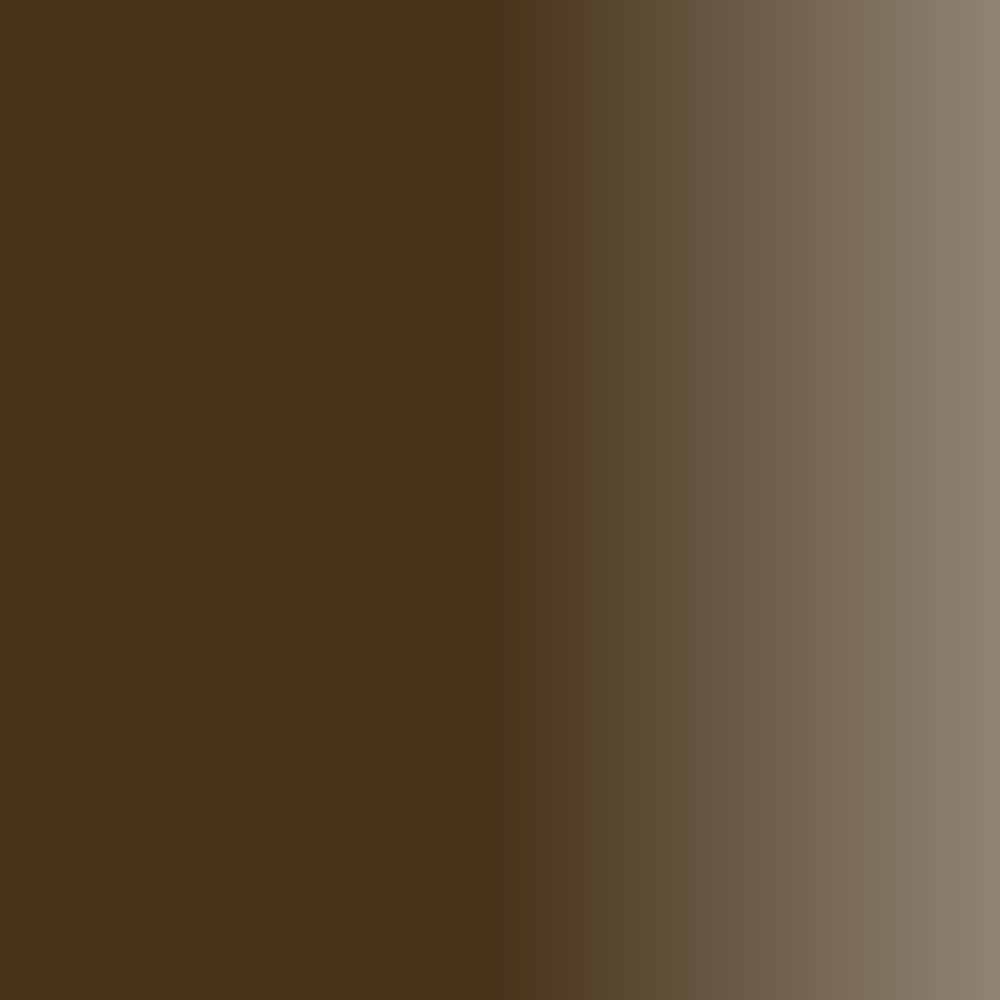 Swiss Color 206 Cocoa Brown Brow Pigment Swatch