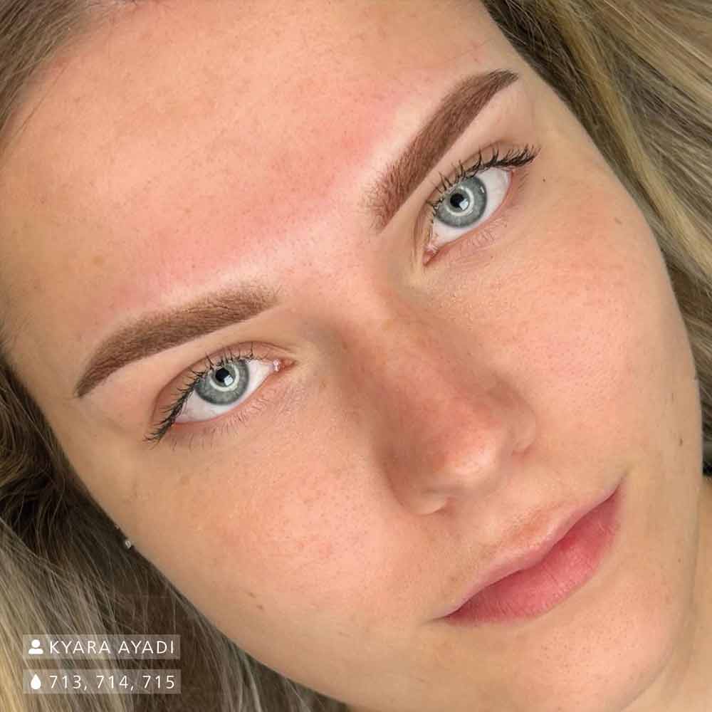 Swiss Color 713 714 715 Brow Work