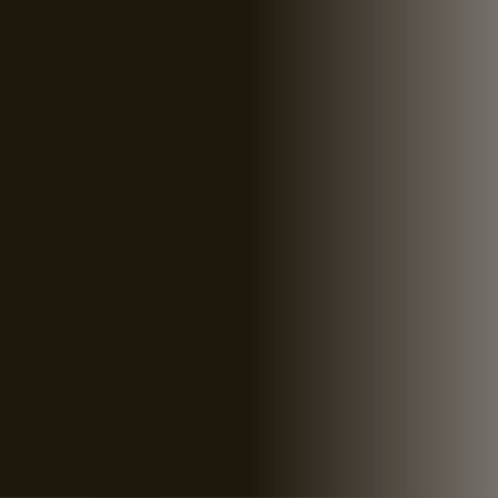 Swiss Color 716 Midnight Brown Brow Pigment Swatch