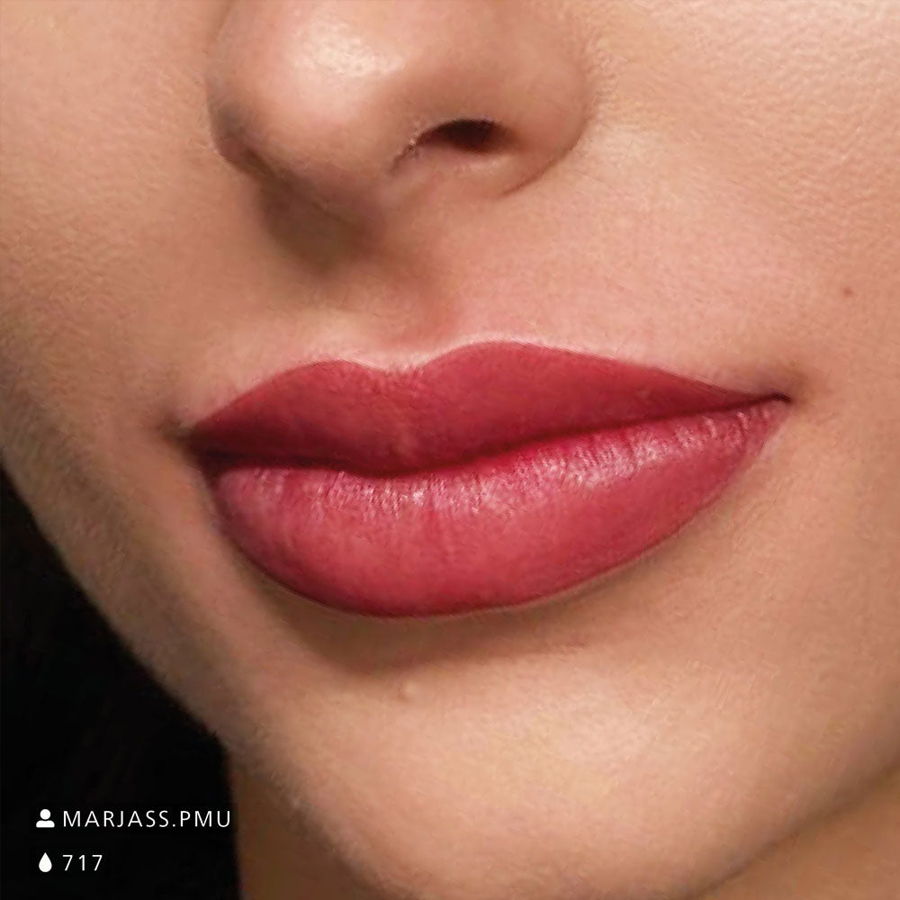 Swiss Color 717 Lip Work