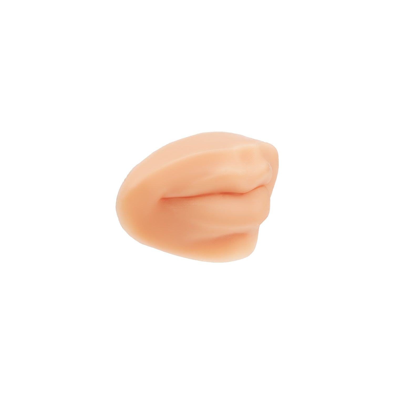 a pound of flesh practice lips piercing body bit